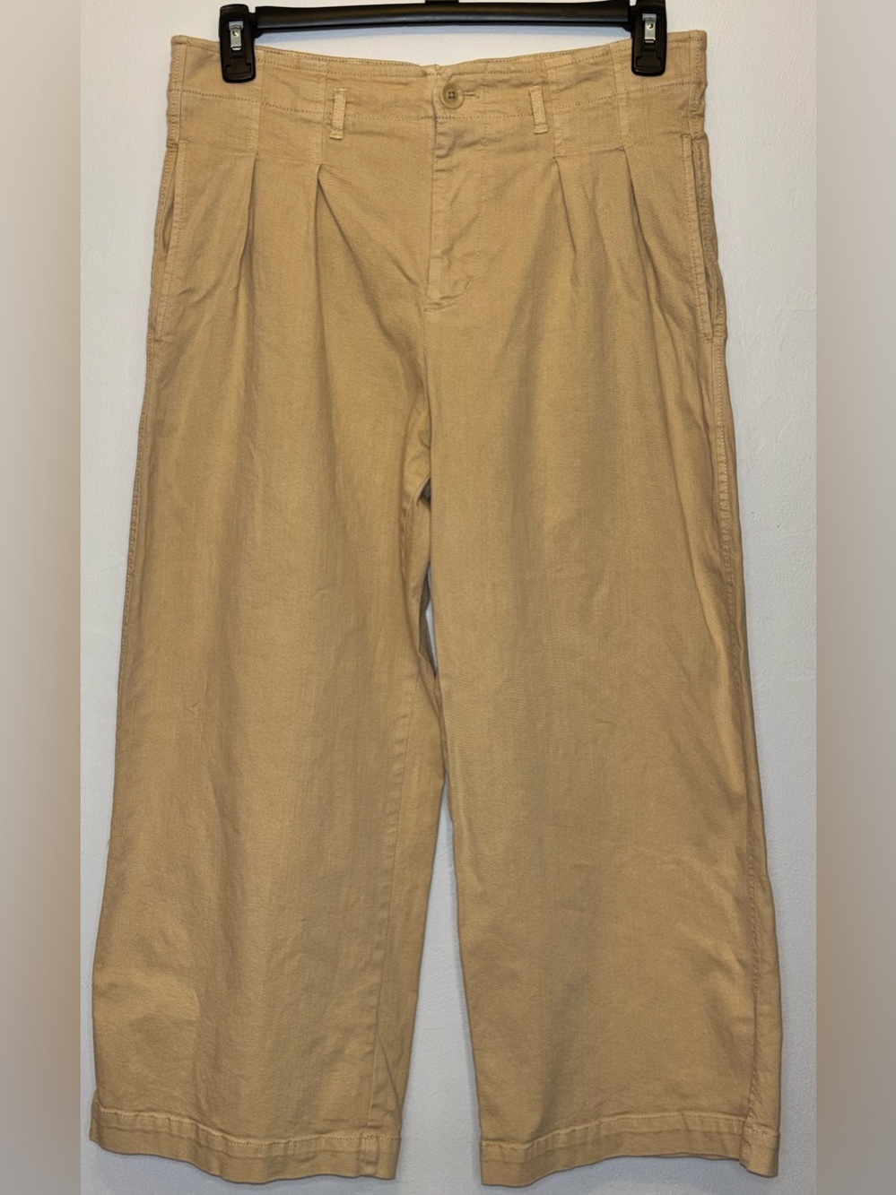 Maeve Anthropologie Pleated High Rise Wide Leg Pants Tan 8 Boho Minimalist Fall